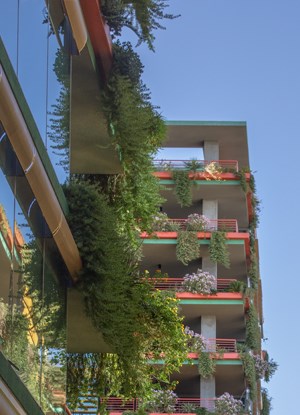 Luxury Apartments For Rent In Old Town Scottsdale Az Optima